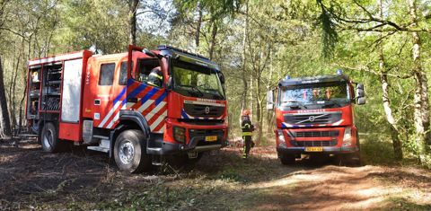 Brandweervoertuigen in het bos