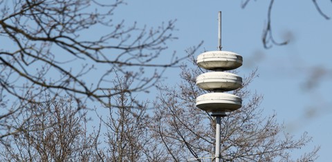 Waspaal met bomen op de achtergrond