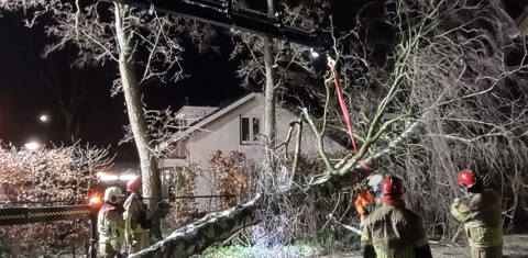 brandweer zaagt omgevallen boom om